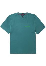 Shirt Bt-Pop Color Hilfi