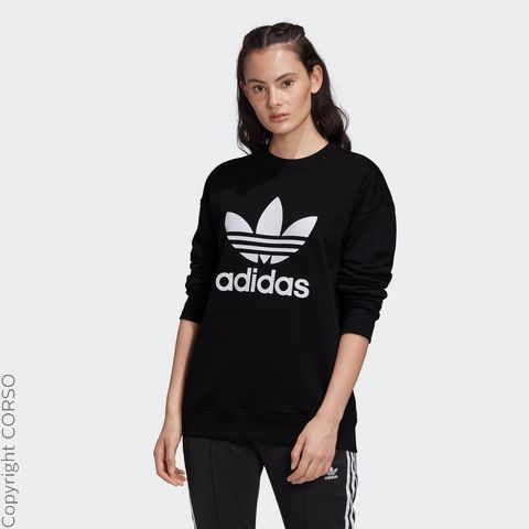 D Sweatshirt